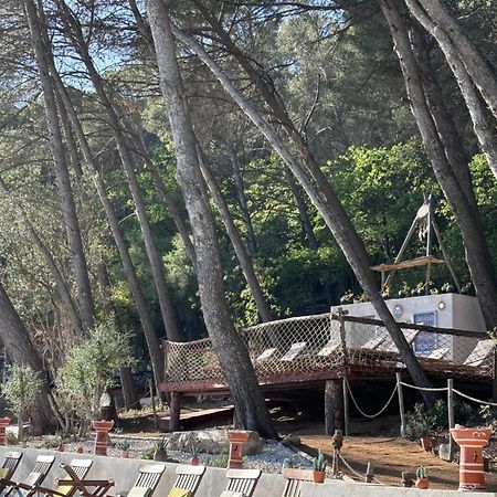 Hotel Le Castel De Fies Solliès-Pont Zewnętrze zdjęcie